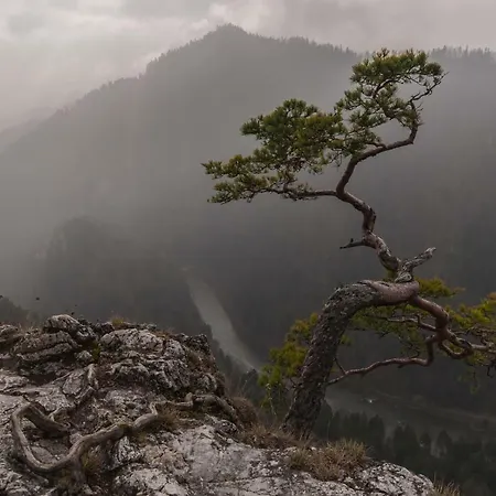 Casa de Férias Porębówka Szczawnica